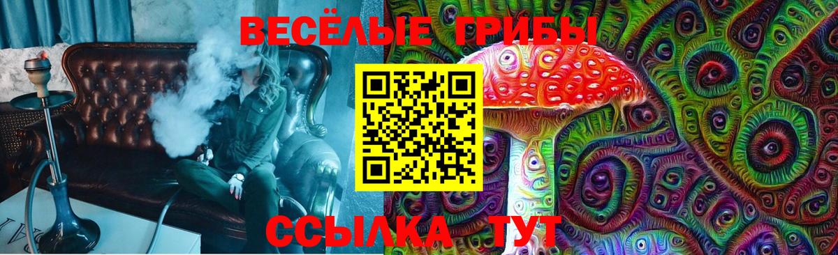 Псилоцибиновые грибы прущие грибы  Вход с VPN  Иваново 