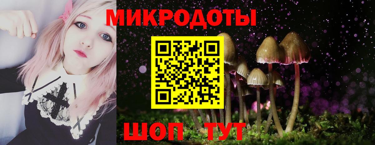 Псилоцибиновые грибы мухоморы Иваново